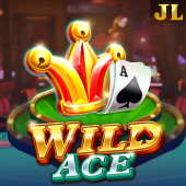Wild Ace slot on X Game Booster